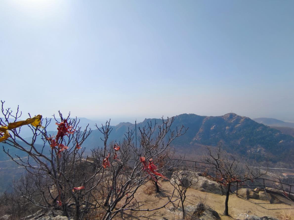 管家婆正版四不像图