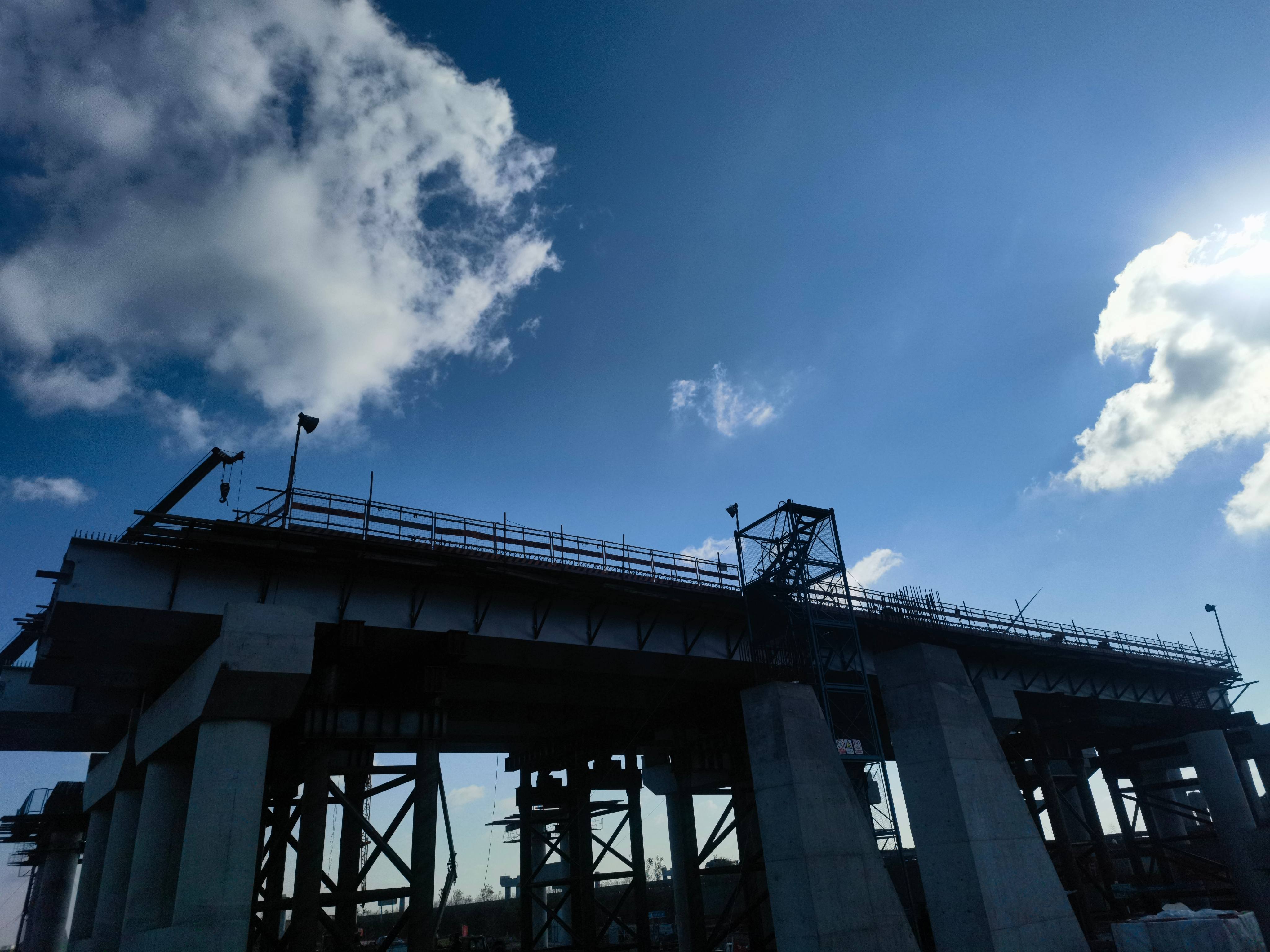 管家婆正版四不像图