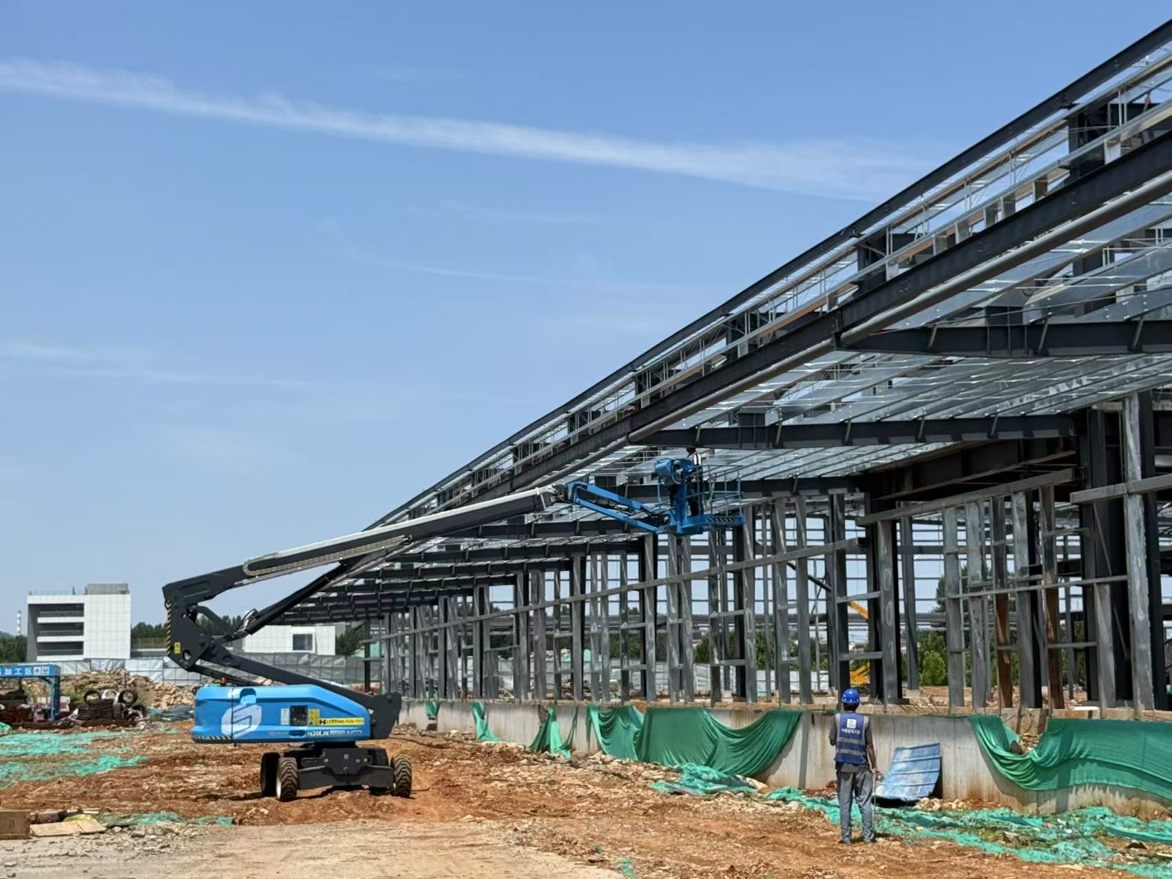 管家婆正版四不像图