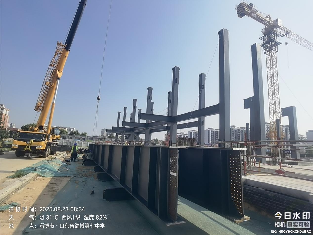 管家婆正版四不像图